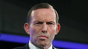 tony abbott