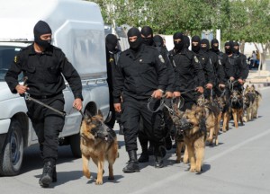 Tunisiapolice